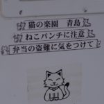 【猫の楽園とその住民たち】愛媛県「青島」へ